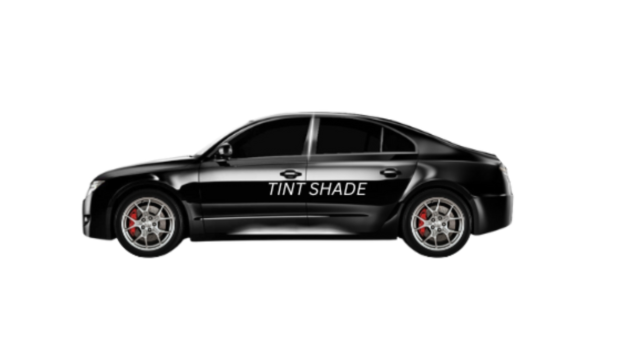 5% tint